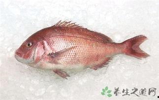國產(chǎn)鯛魚怎么吃才好吃視頻,解鎖鯛魚佳肴新境界