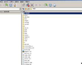國產(chǎn)小視頻連接 ftp,探索便捷文件傳輸新方式